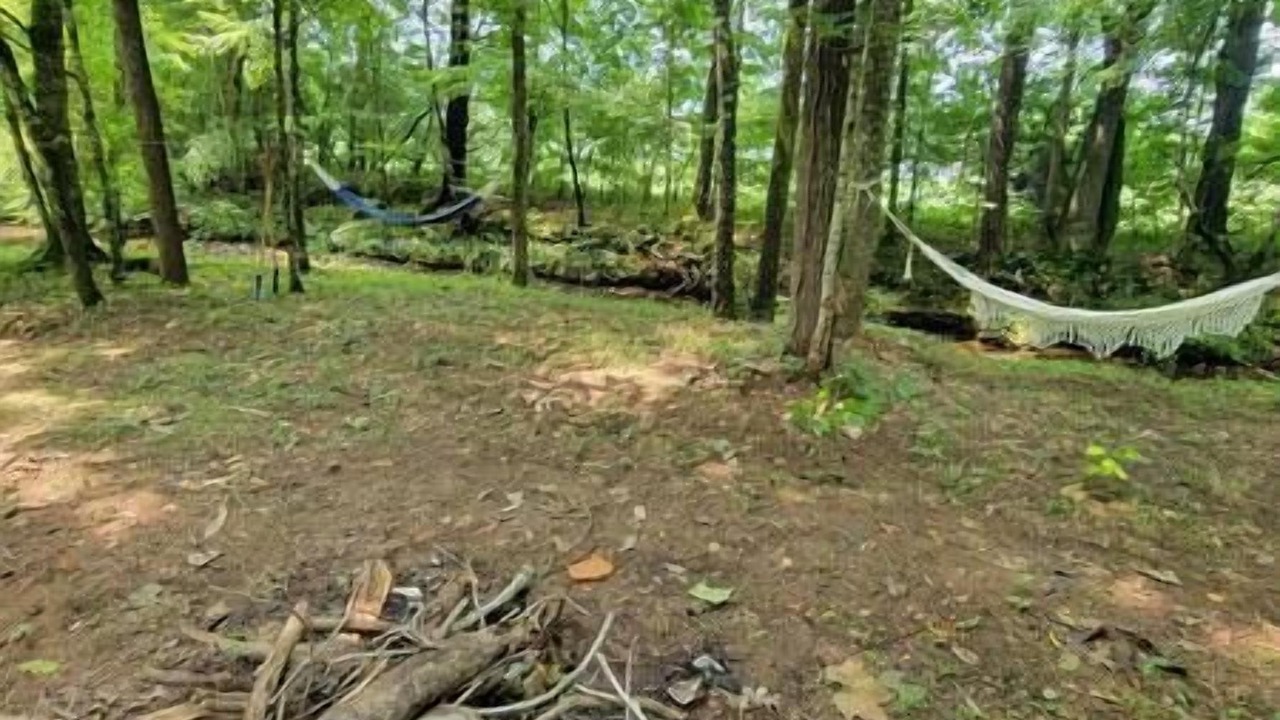 Photo of Outdoor in Cookeville