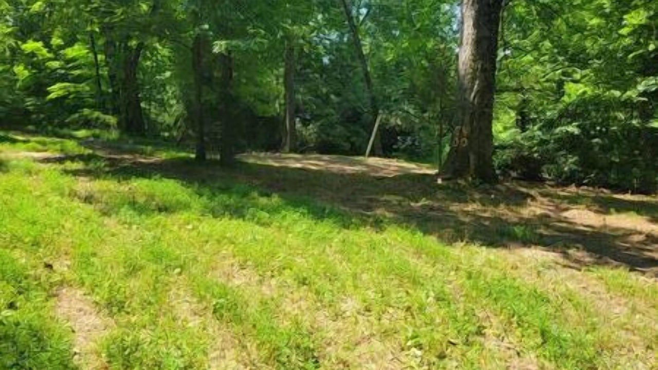Photo of Outdoor in Cookeville