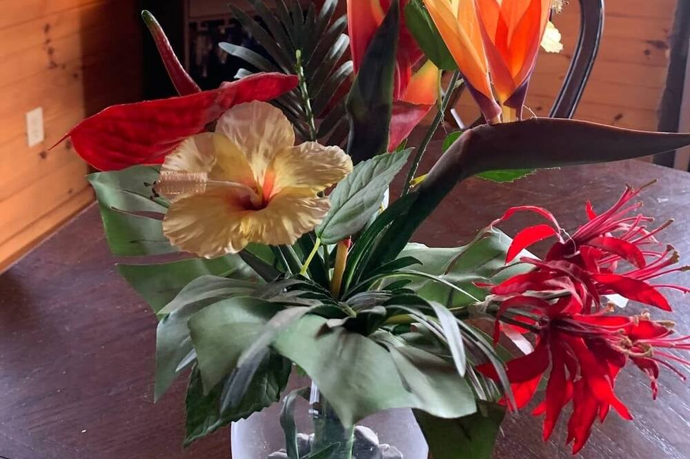 Photo of Others in Dora