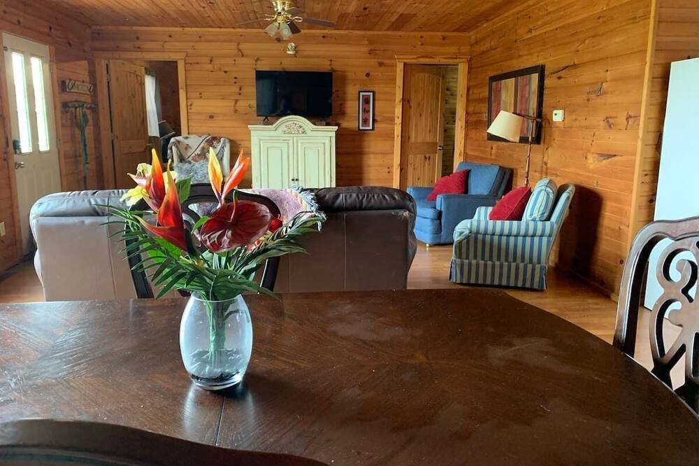 Photo of Livingroom in Dora