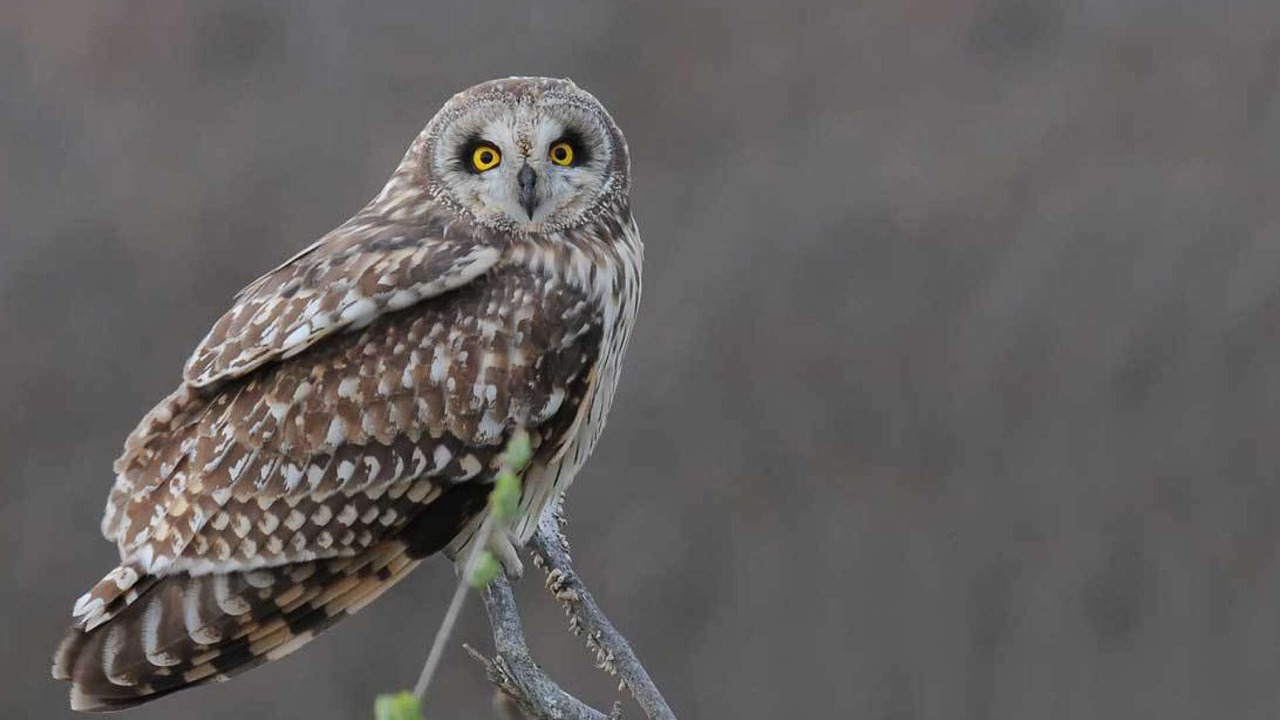 Photo of Outdoor in Newburyport