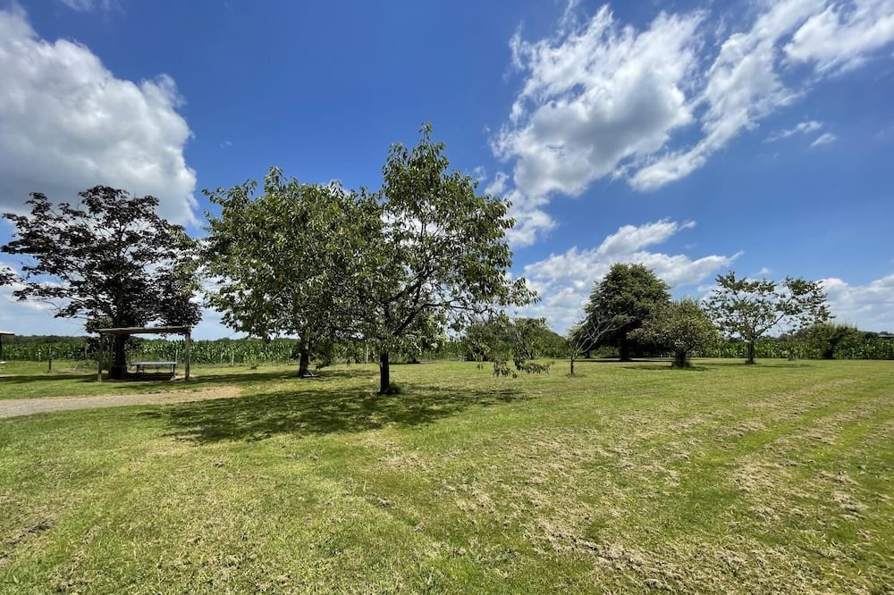 Photo of Outdoor in Casteide-Cami