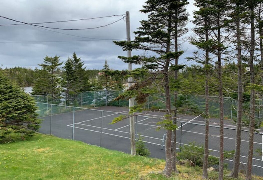 Photo of Others in Mount Carmel-Mitchells Brook-St. Catherines