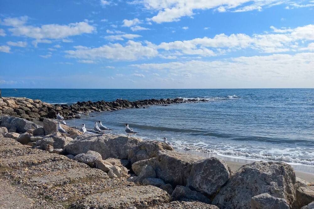 Photo of Others in Saint-Gilles