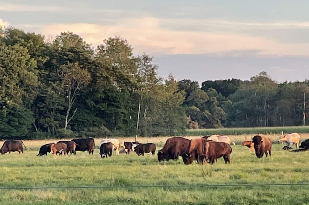 Photo of Outdoor in Tylersburg