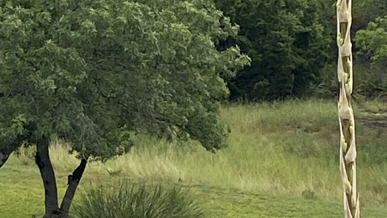 Photo of Others in Boerne
