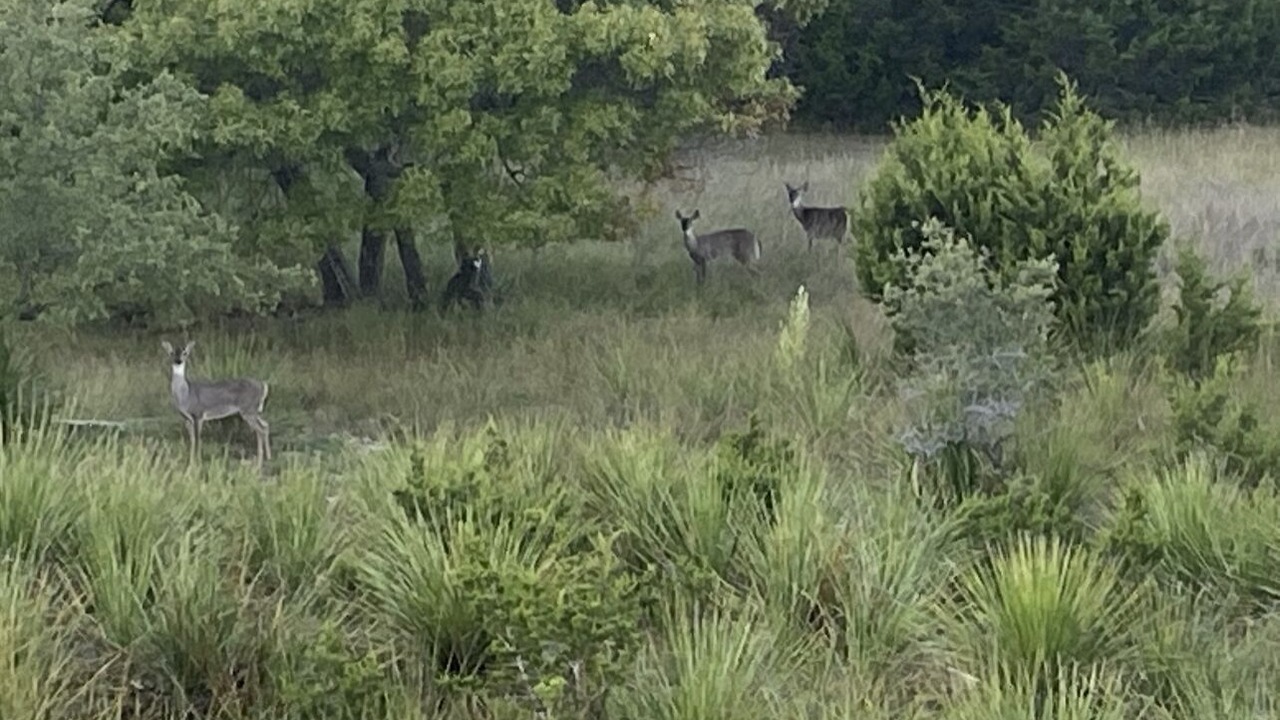 Photo of Outdoor in Boerne