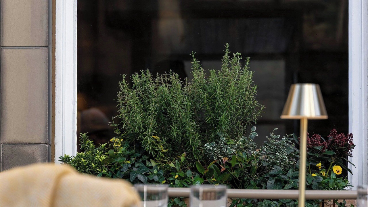 Photo of Others in Old Town