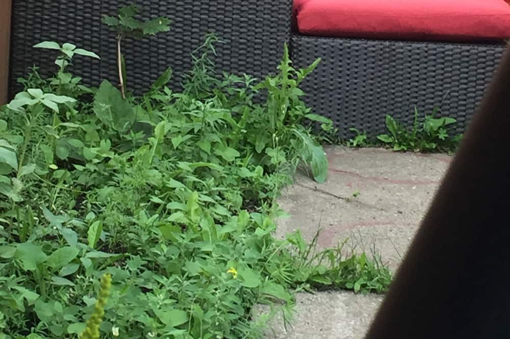 Photo of Others in Saint-Fabien