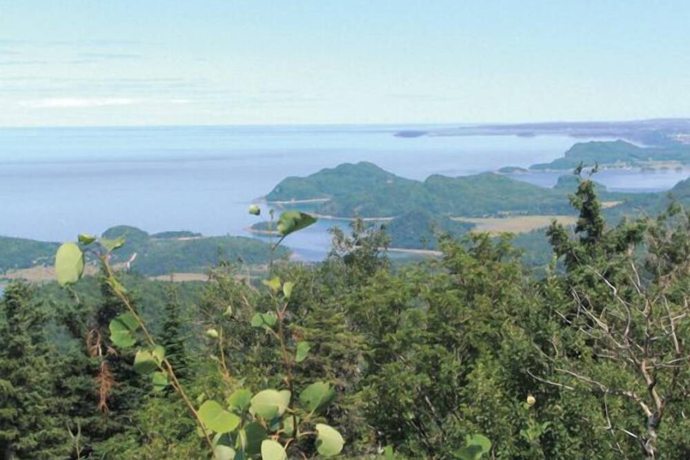 Photo of Others in Saint-Fabien