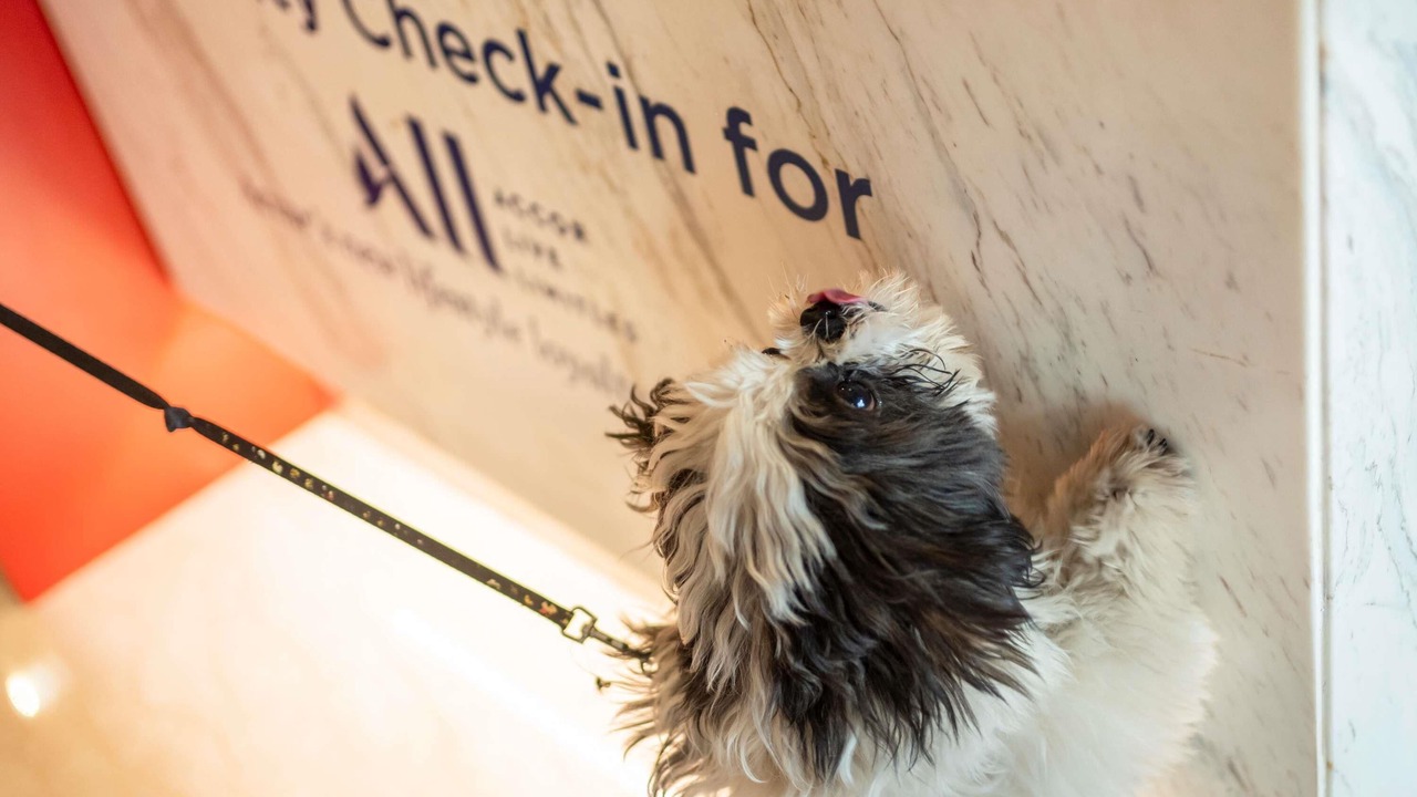 Photo of Others in Gascoigne