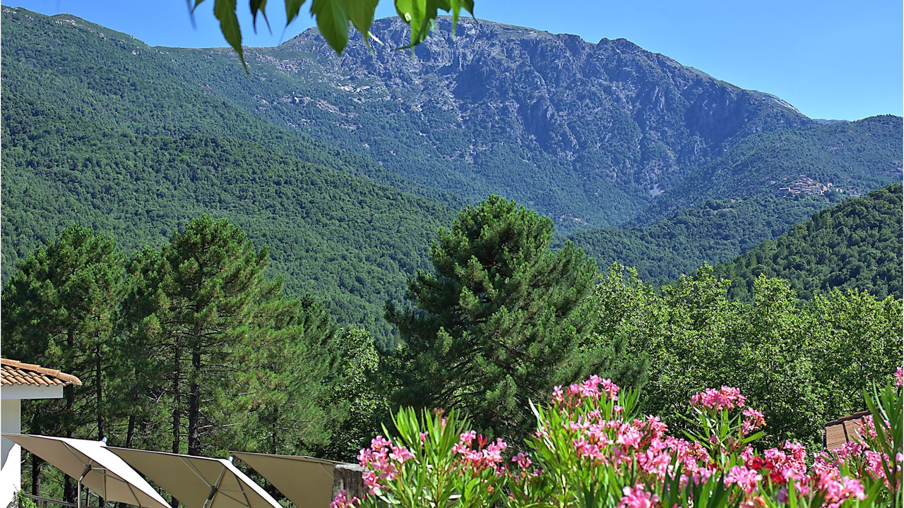 Photo of Bedroom in Guagno les Bains