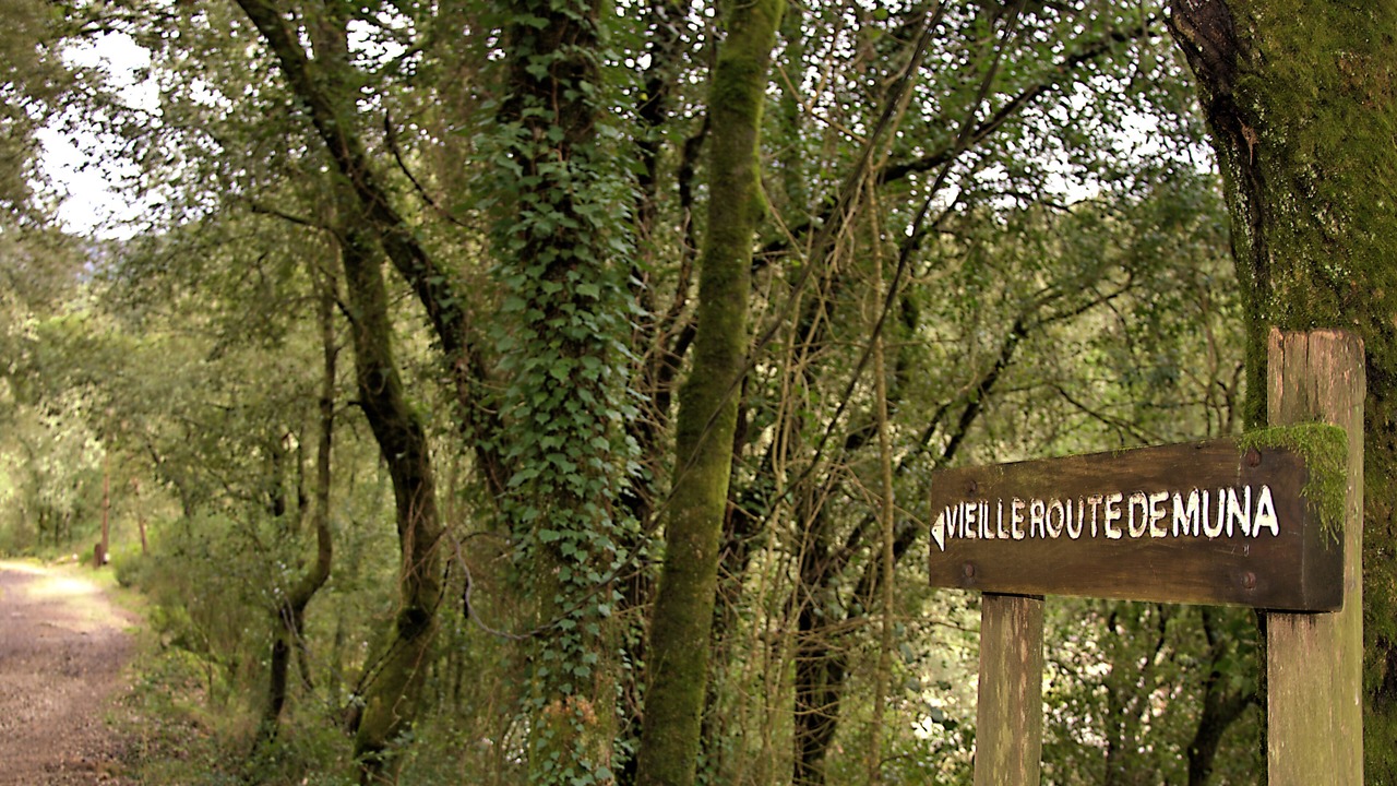 Photo of Outdoor in Guagno les Bains