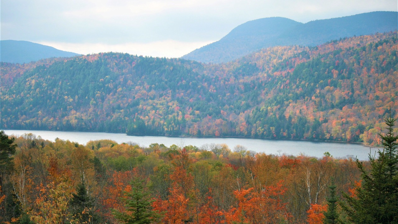 Photo of Others in North River