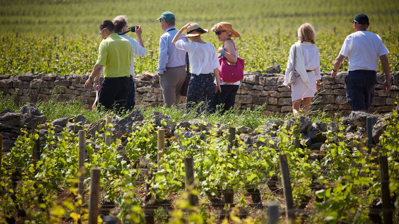 Photo of Others in Puligny-Montrachet