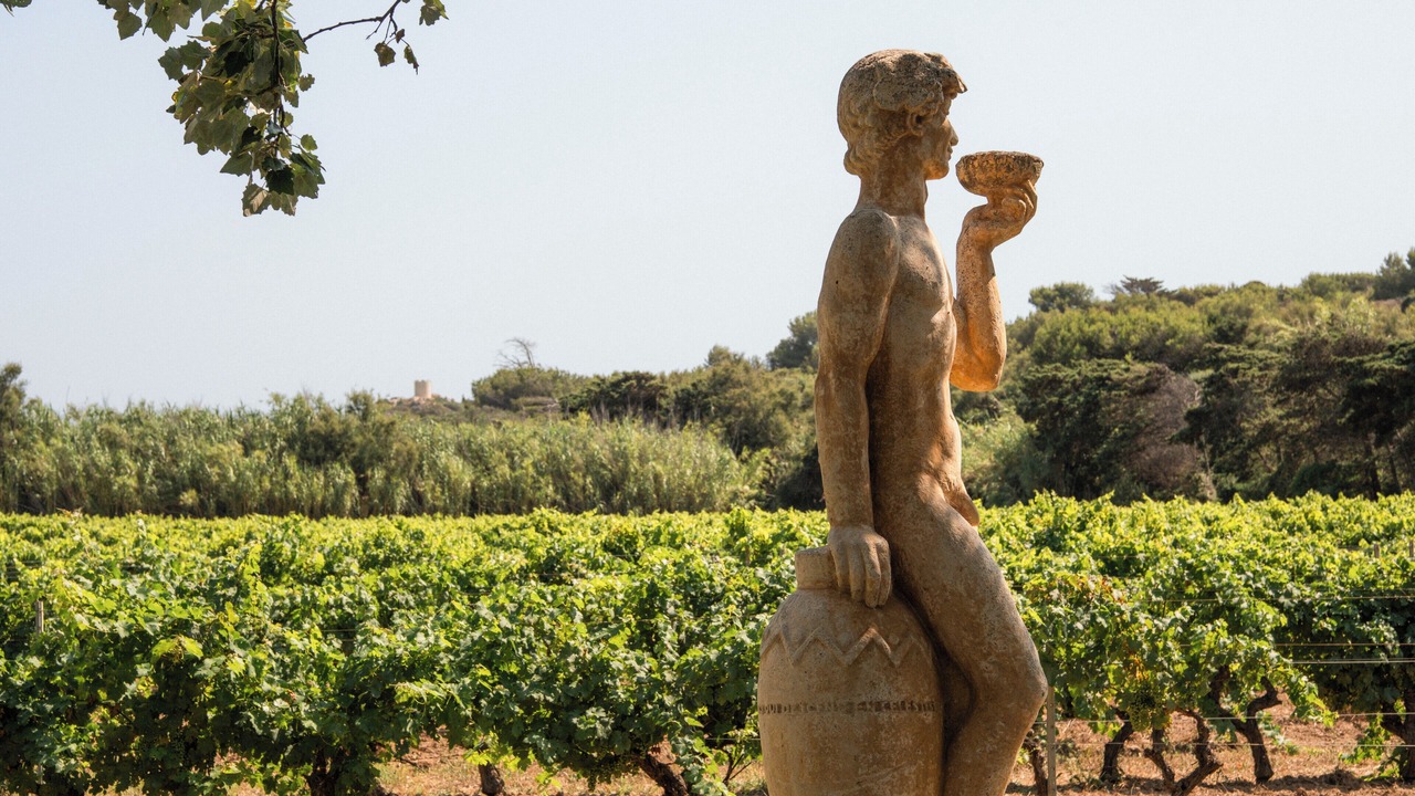 Photo of Others in Six-Fours-les-Plages