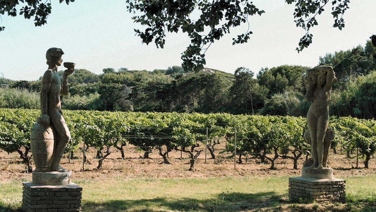 Photo of Outdoor in Six-Fours-les-Plages