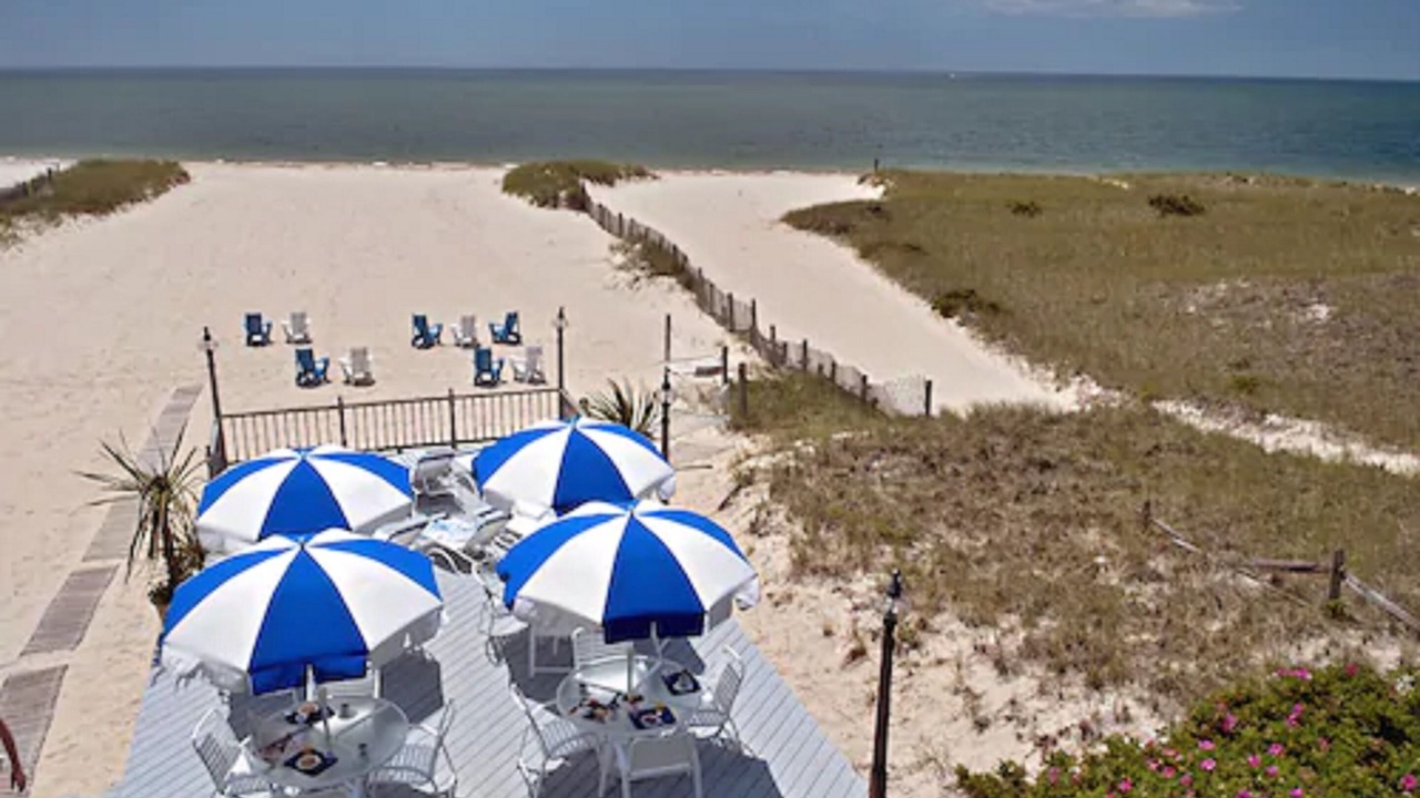 Photo of Others in Harwich Center