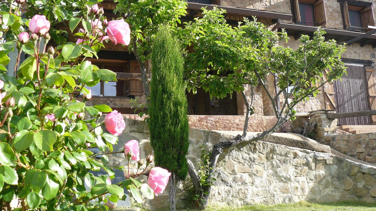 Photo of Outdoor in Almiruete