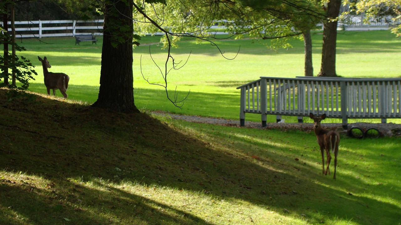 Photo of Outdoor in Gananoque