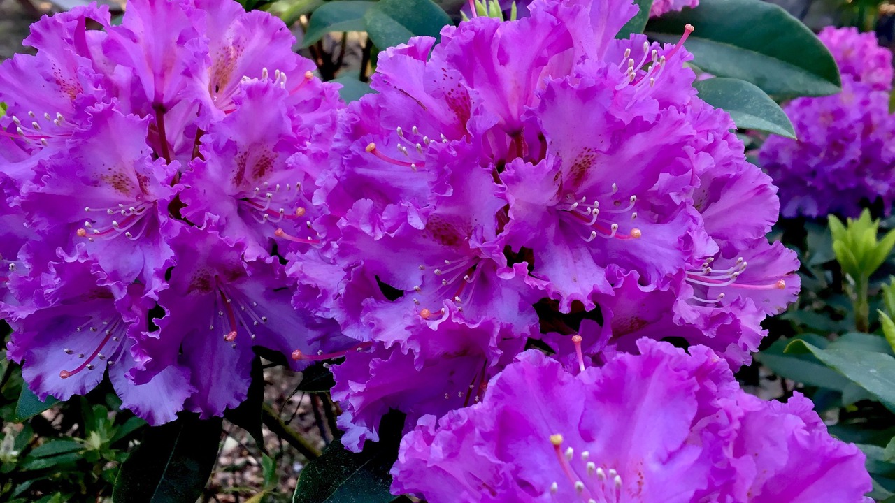 Photo of Outdoor in Medlow Bath