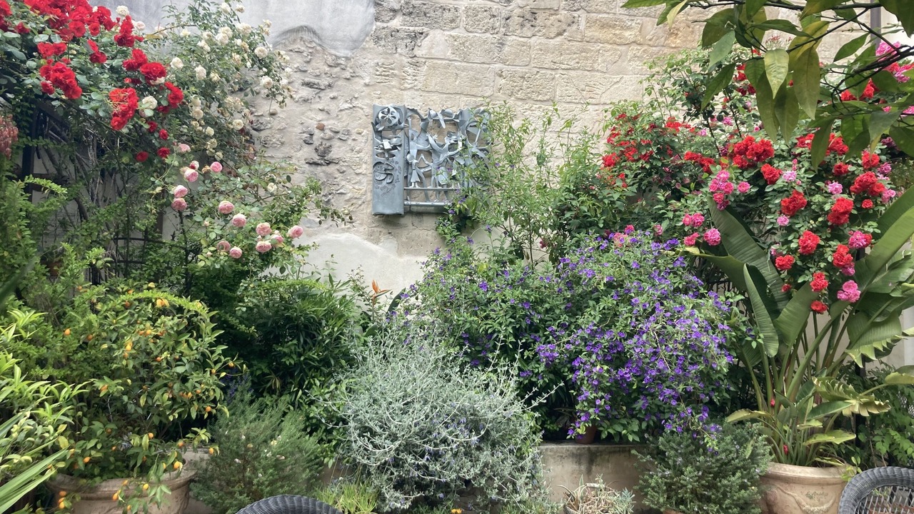 Photo of Patio Balcony in Avignon City Centre