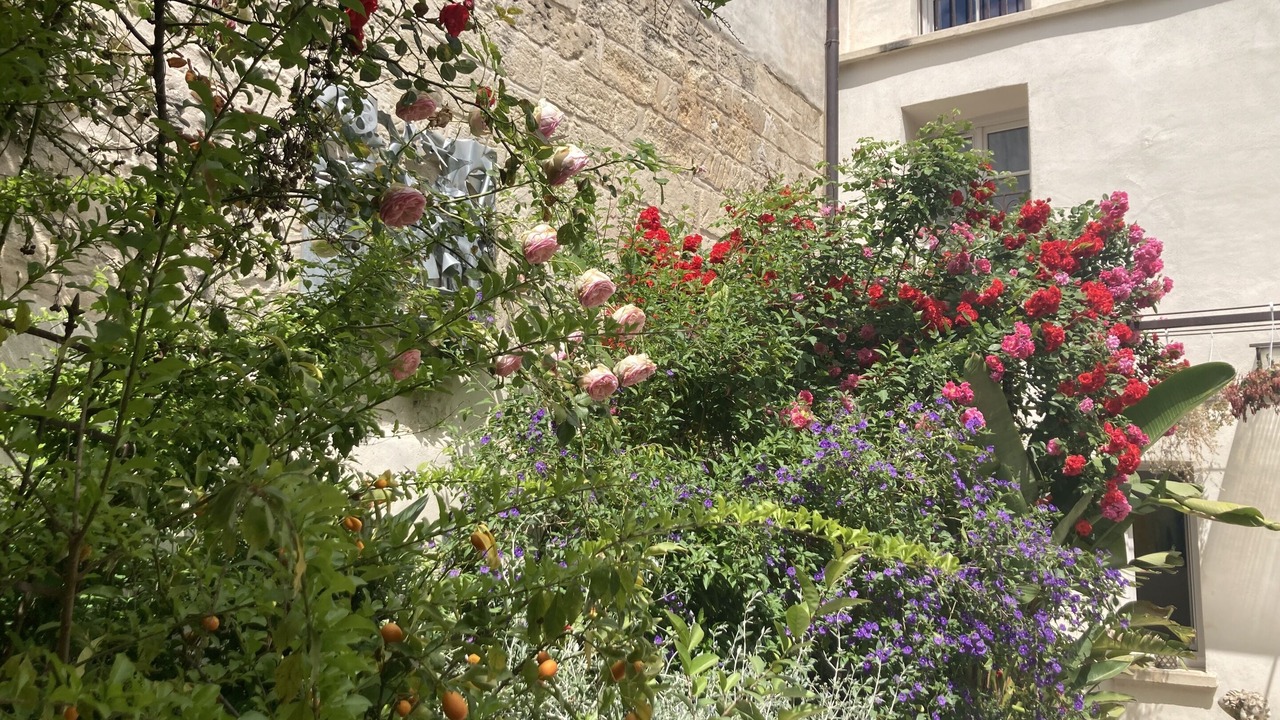 Photo of Patio Balcony in Avignon City Centre
