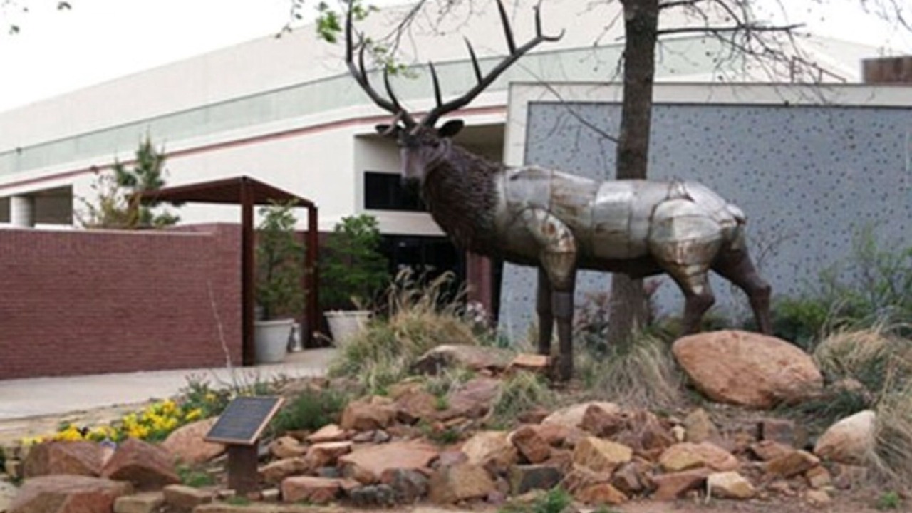 Photo of Outdoor in Lawton