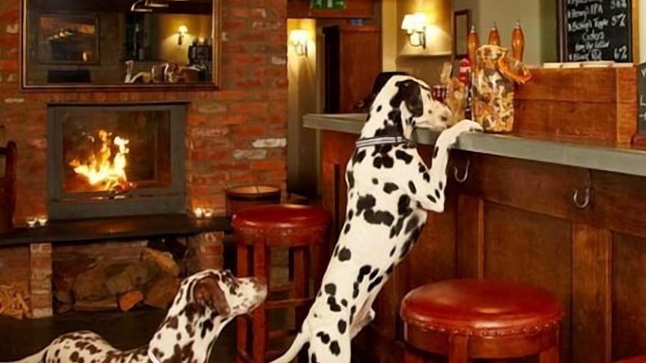 Photo of Others in Edington