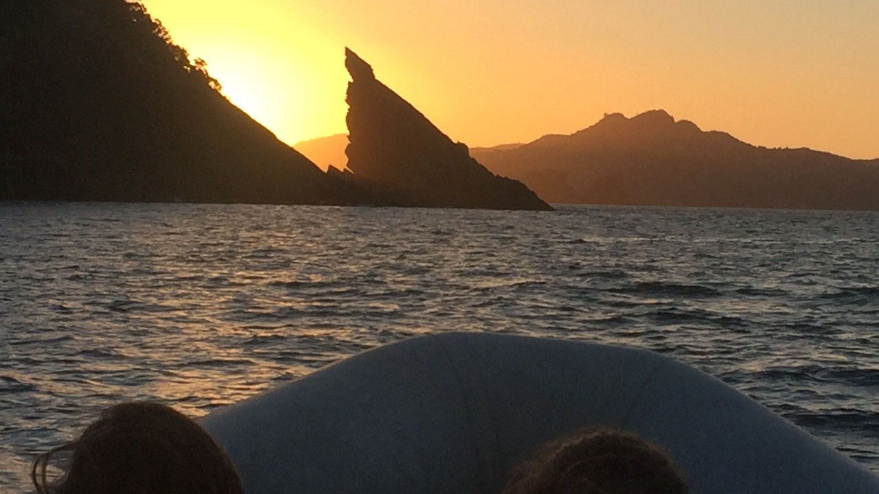 Photo of Bedroom in Whitianga