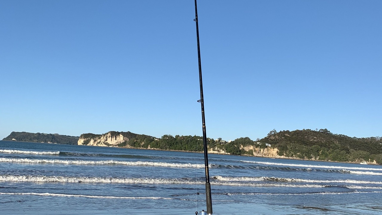 Photo of Others in Whitianga