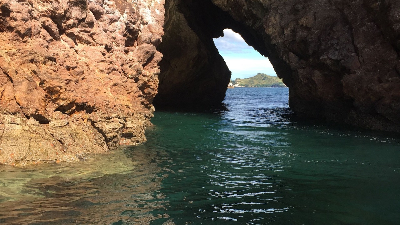 Photo of Others in Whitianga