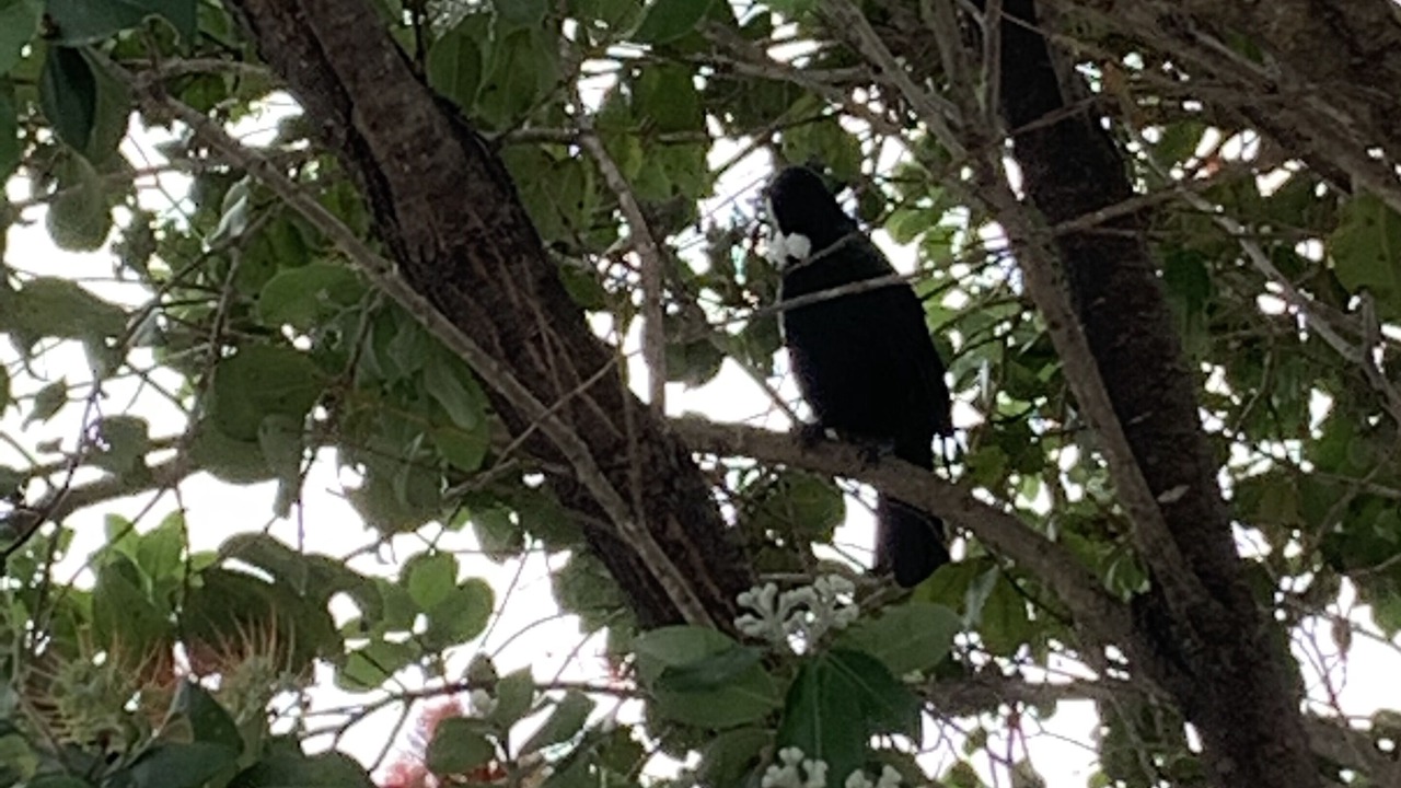 Photo of Outdoor in Whitianga