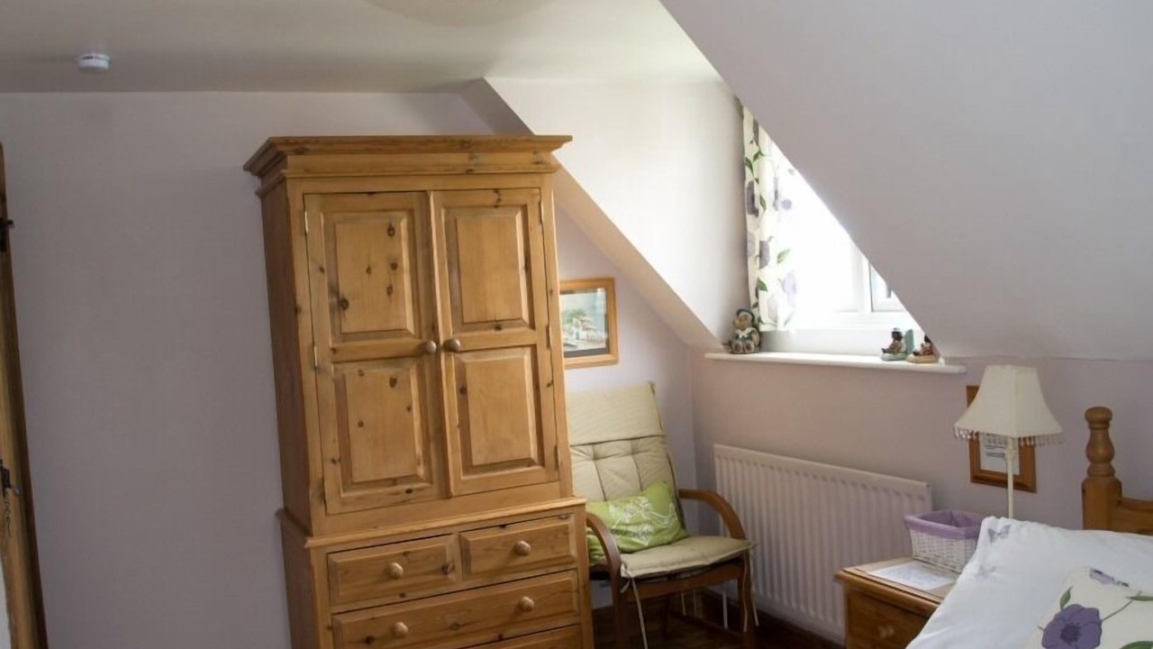 Photo of Others in Birch