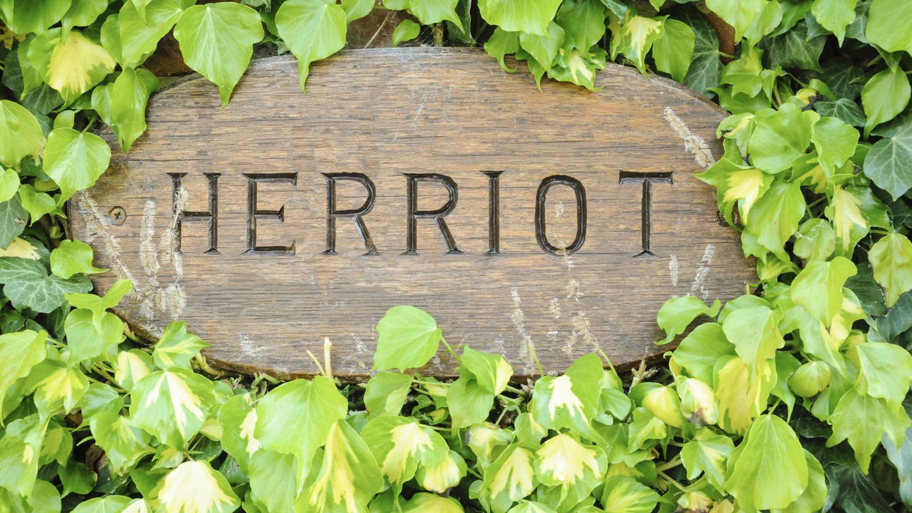 Photo of Bathroom in Thirsk