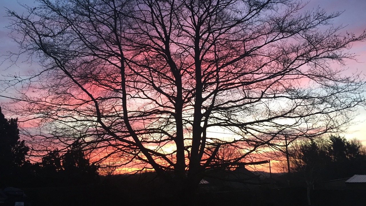 Photo of Outdoor in Nunney