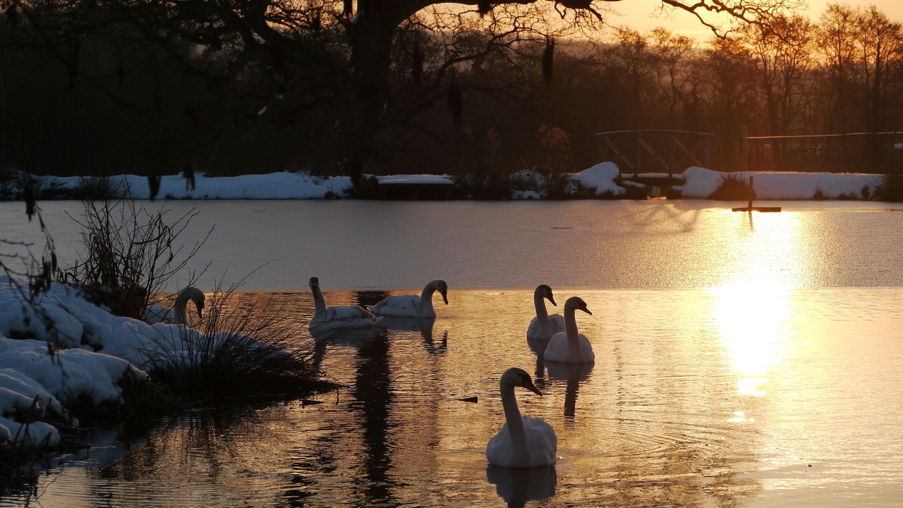 Photo of Outdoor in Nunney
