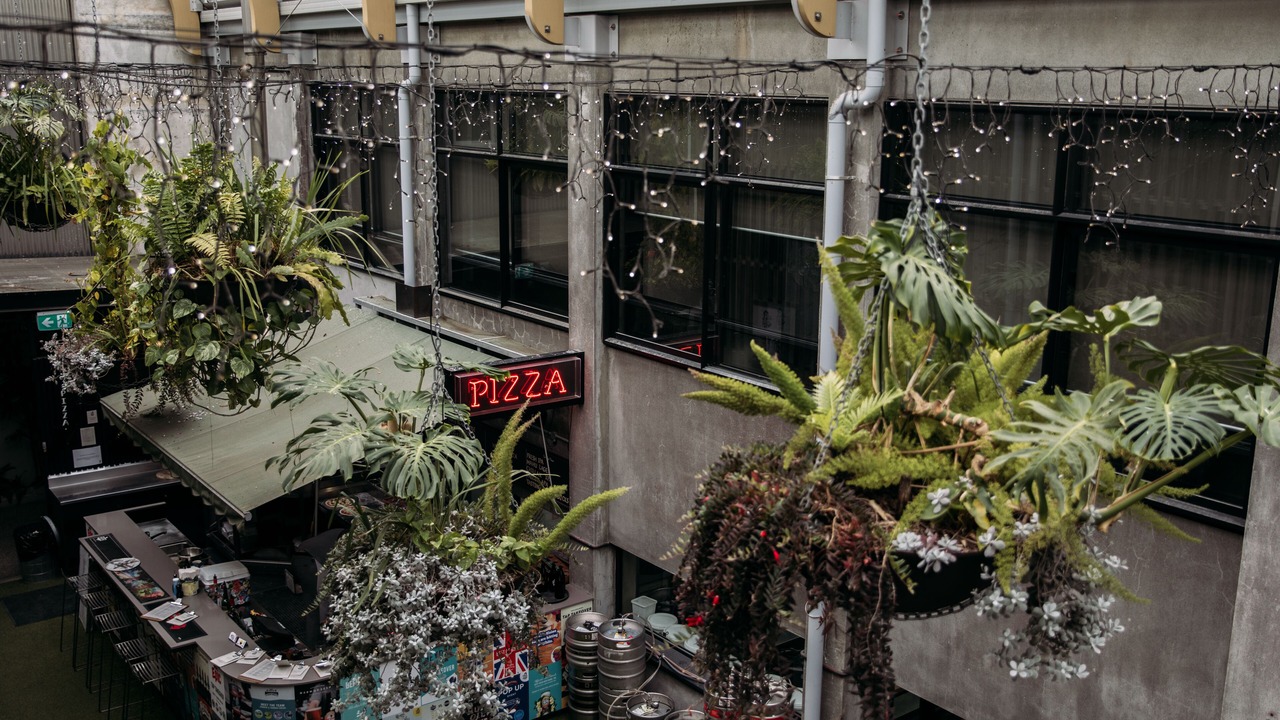 Photo of Outdoor in New Plymouth CBD