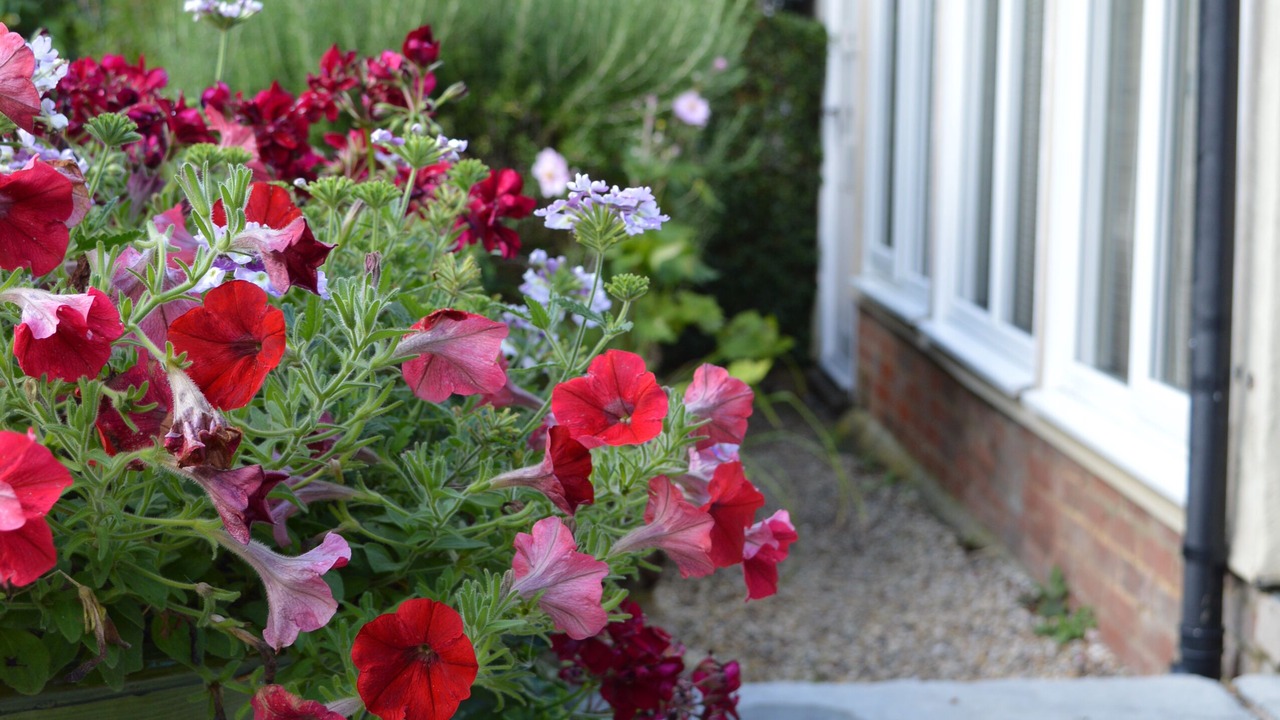 Photo of Others in Stebbing