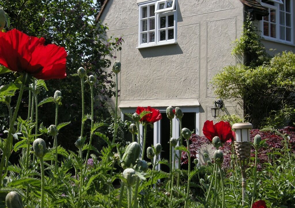 Photo of Outdoor in Stebbing