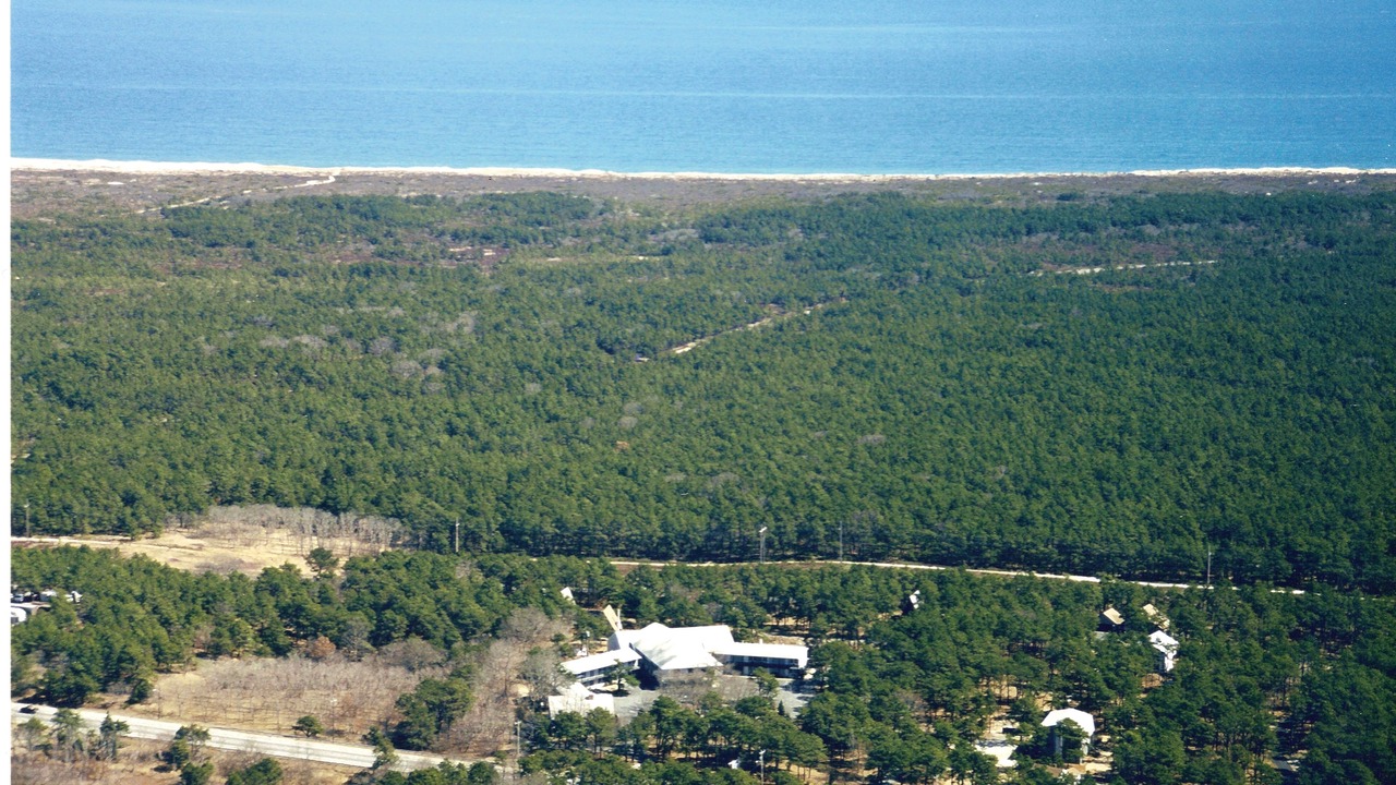 Photo of Outdoor in Wellfleet