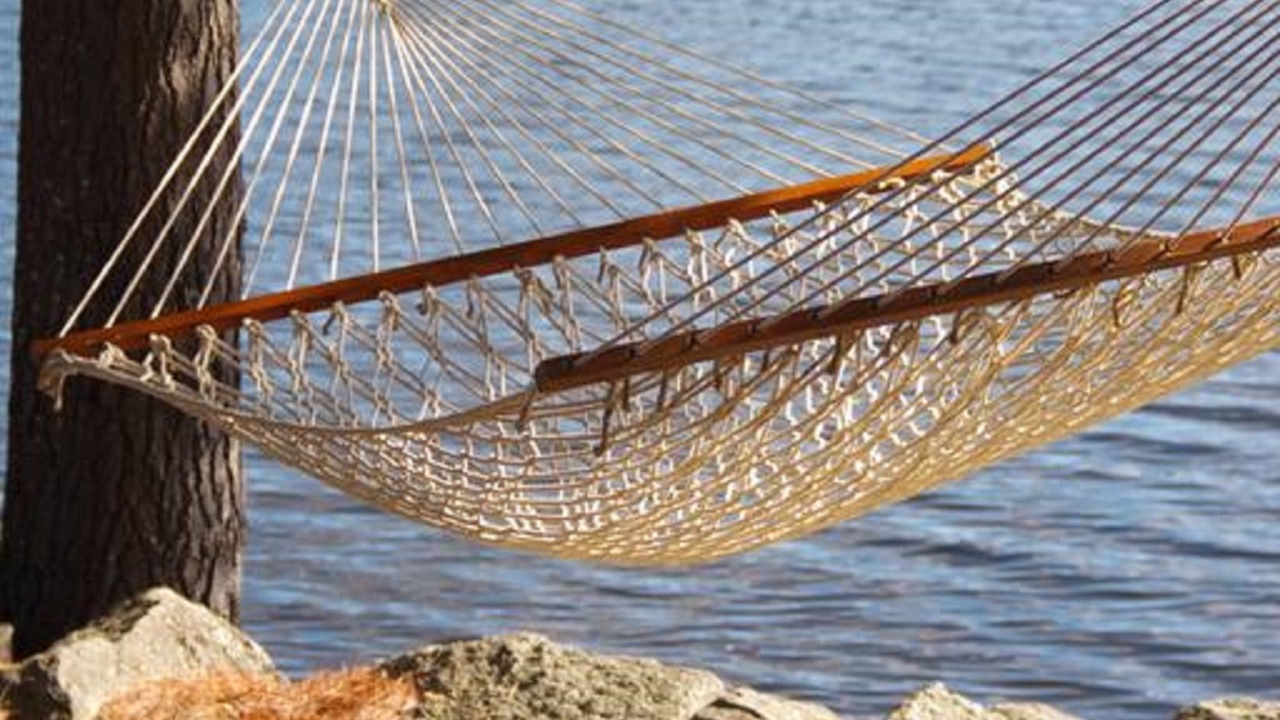 Photo of Others in North Sutton