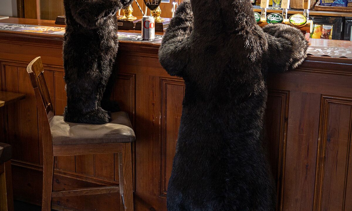 Photo of Others in Winsford