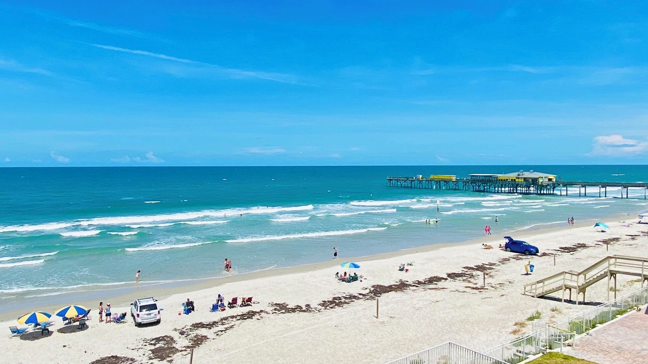 Photo of Others in Daytona Beach Shores