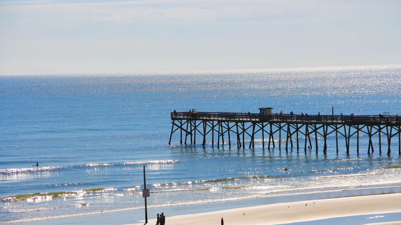 Photo of Others in Daytona Beach Shores