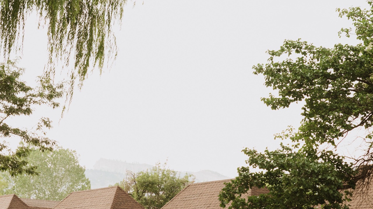 Photo of Outdoor in Tropic