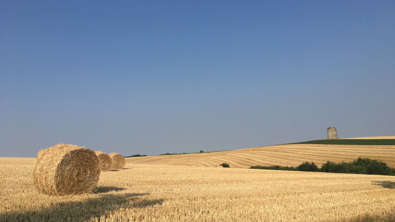 Photo of Outdoor in Hardelot-Plage