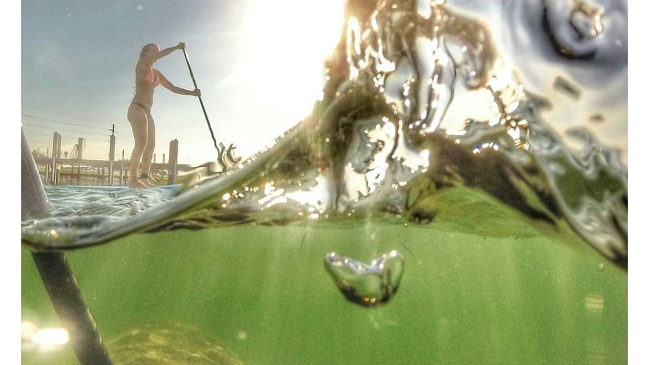 Photo of Others in Layton