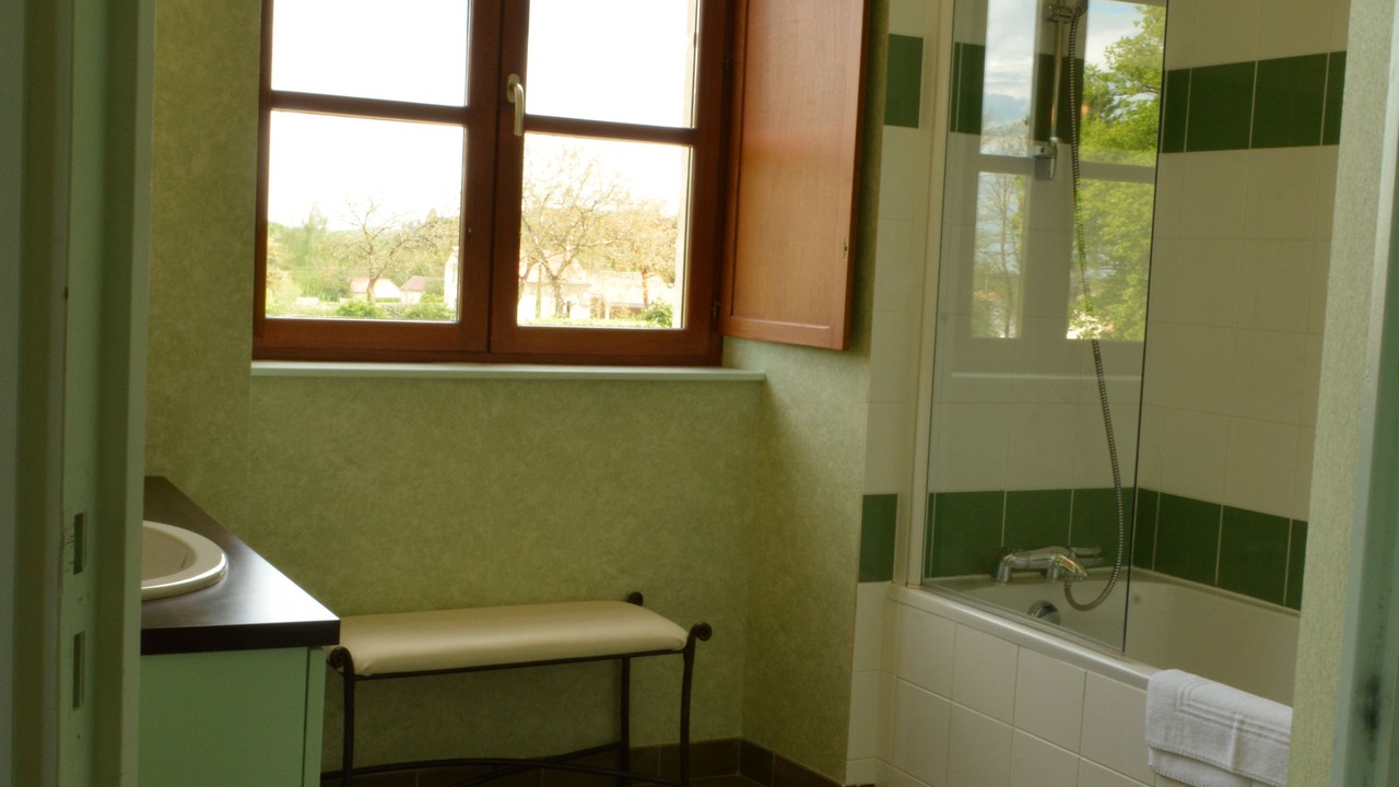 Photo of Bathroom in Moutiers-Sous-Chantemerle