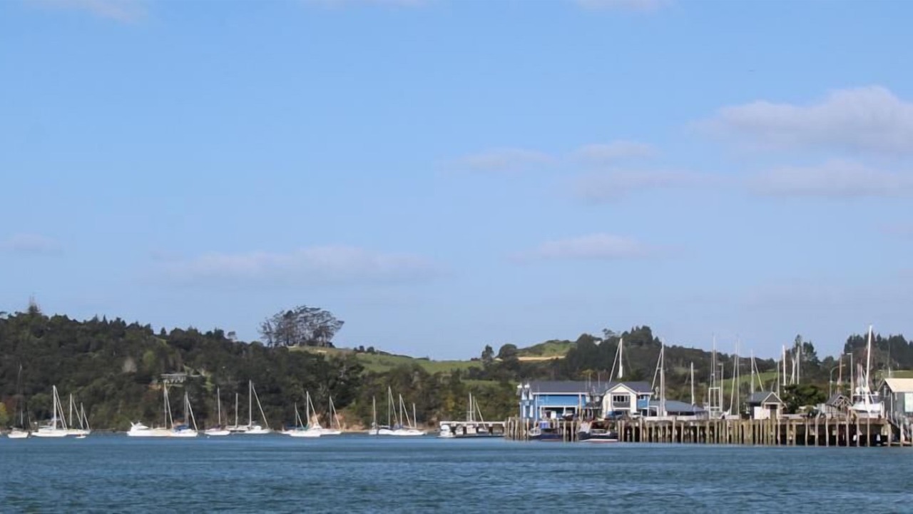 Photo of Others in Paihia